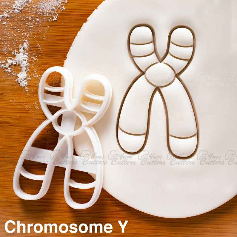Chromosome Y cookie cutter | male genetics biscuit cutters Deoxyribonucleic acid genealogy genetic Microbiology laboratory science DNA,
                      science cookie cutters, dna cookie cutter, lab cookie cutter, anatomy cookie cutters, anatomical cookie cutter, periodic table cookie cutters, personalised biscuit stamp, key shaped cookie cutter, the range cookie cutters, wine cookie cutter, best quality cookie cutters, batman cake cutter, cookie cutter mould, medical cookie cutters,
                      