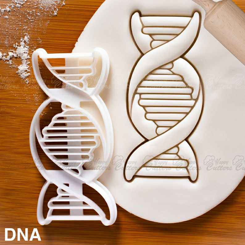 DNA cookie cutter | biscuit cutters cell cycle Deoxyribonucleic acid molecule genetics genetic Microbiology laboratory science chromosome, science cookie cutters, dna cookie cutter, lab cookie cutter, anatomy cookie cutters, anatomical cookie cutter, periodic table cookie cutters, sitting elephant cookie cutter, pampered chef cookie cutters, pie slice cookie cutter, t shirt cookie cutter, lingerie cookie cutter, pickup truck cookie cutter, sloth cookie cutter, scottish terrier cookie cutter, happy cutters, best cookie cutters