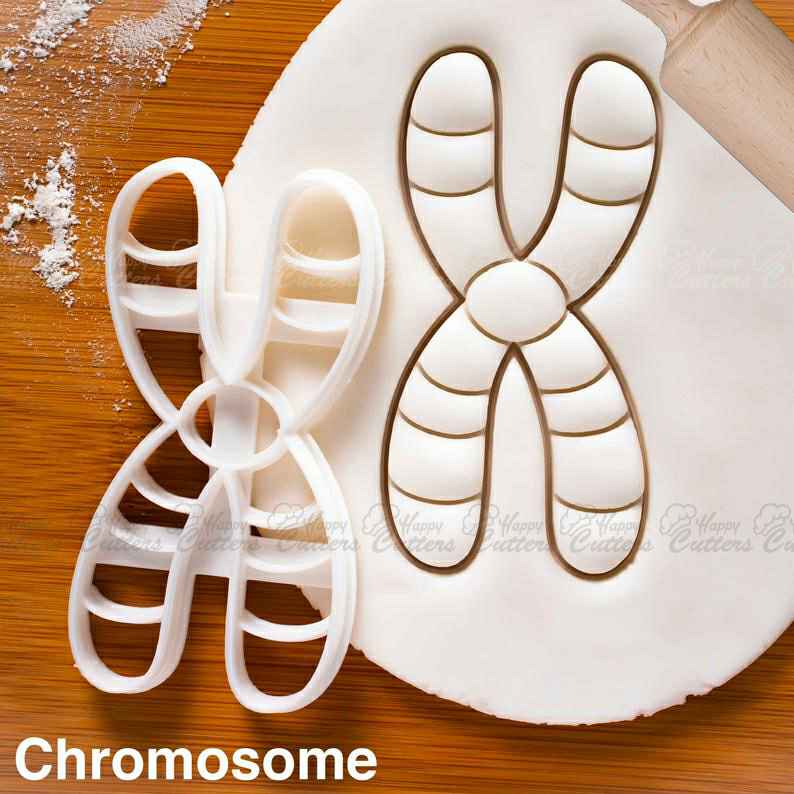 Chromosome cookie cutter | genetics biscuit cutters Deoxyribonucleic acid genealogy molecule genetic Microbiology laboratory science DNA,
                      science cookie cutters, dna cookie cutter, lab cookie cutter, anatomy cookie cutters, anatomical cookie cutter, periodic table cookie cutters, cracker cutter, ice cream cone cookie cutter, husky cookie cutter, the cookie stamp, 4 biscuit cutter, biscuit cutter with handle, robot cookie cutter, disney frozen cookie cutters,
                      