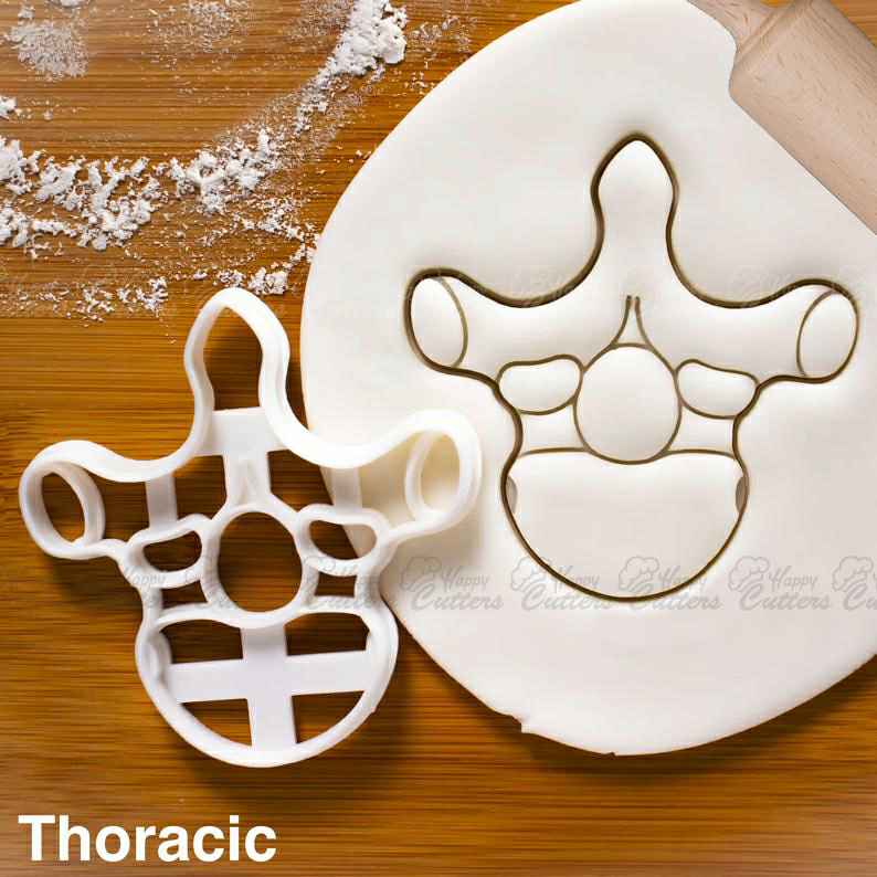 Thoracic Vertebra cookie cutter - Medical Science Human Spine Anatomy themed Birthday Party,
                      science cookie cutters, dna cookie cutter, lab cookie cutter, anatomy cookie cutters, anatomical cookie cutter, periodic table cookie cutters, hippo cookie cutter, turkey cutter, christmas playdough cutters, dog bone cookie, bear face cookie cutter, baby woodland animal cookie cutters, small heart cutter, animal shape cutters,
                      