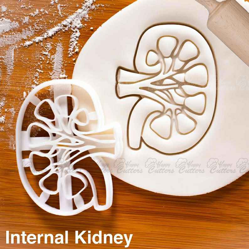 Internal Kidney cookie cutter | Anatomical Gifts medical students human body organ parts renal organs anatomy cutters,
                      science cookie cutters, dna cookie cutter, lab cookie cutter, anatomy cookie cutters, anatomical cookie cutter, periodic table cookie cutters, lung cookie cutter, nurse cookie cutters, cupcake cookie cutter, horror cookie cutters, teacher cookie cutters, flamingo cookie cutter, roblox cookie cutter, giant cookie cutters uk,
                      