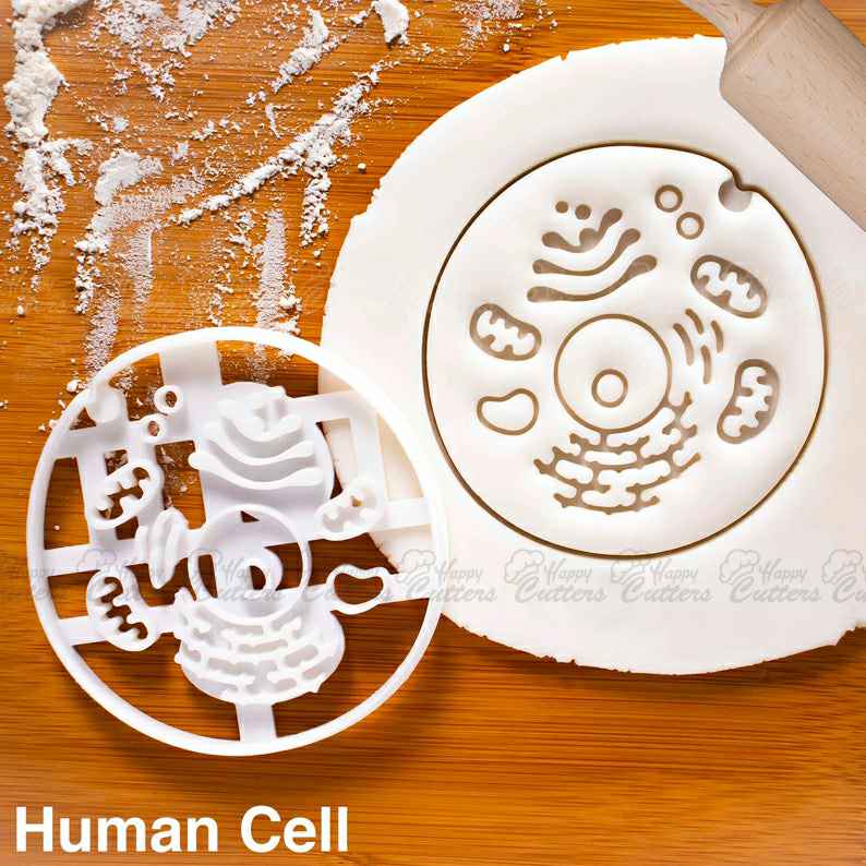 Human Cell cookie cutter | medicine biscuit cutters Gifts medical science Robert Hooke students health student biology doctors ,
                      medical cookie cutters, anatomical cookie cutter, anatomical heart cookie cutter, nurse cookie cutters, syringe cookie cutter, kidney cookie cutter, christmas shape cutters, mini gingerbread cutter, pampered chef cookie cutters, crumbs custom cookie cutters, dog treat cookie cutters, hexagon fondant cutter, weird cookie cutters, pooh cookie cutter,
                      
