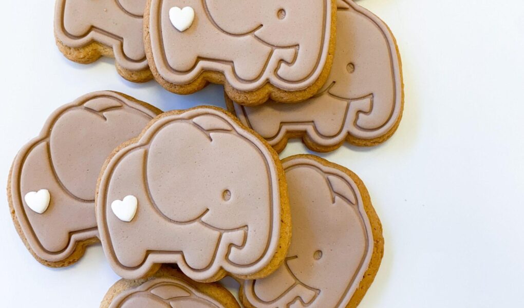 elephant cookie