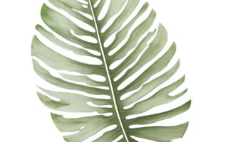 tropical leaf fondant cutter