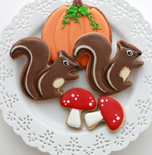 squirrel cookie